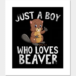 Just A Boy Who Loves Beaver Posters and Art